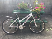 Ladies bicycle,  brand new condition,  rarely used